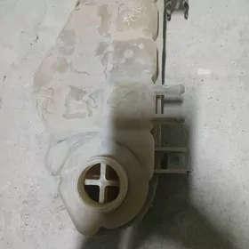 Sintrañ suw baçogy yagday gowy