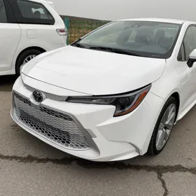 Toyota Corolla 2021