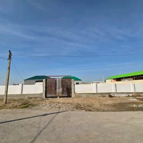 Shor (Șor) plan jay