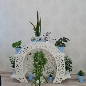 полки для цветов