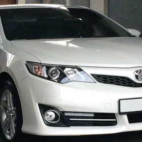 Woditel/Водитель