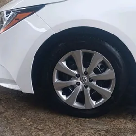 diska kalpak 25 karollan̈ky