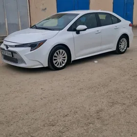 Toyota Corolla 2021