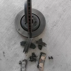 disga kalotga 2021 awalon