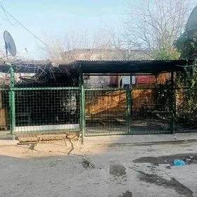 огород огорот