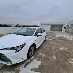 Toyota Corolla 2023