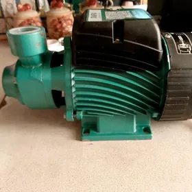 водяной насос