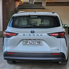 Toyota Sienna 2021