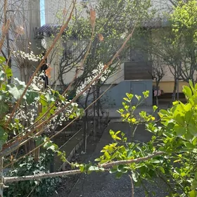 ГАУДАН А 1В2 1 ЭТ ОГОРОД 4500