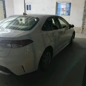 Toyota Corolla 2020