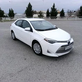 Toyota Corolla 2018