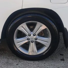 Haylandyr diska 19 limited