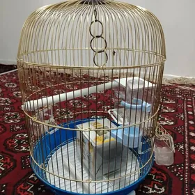 Papygayn kletkasy клетка папуг