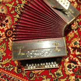Гармонь Танго