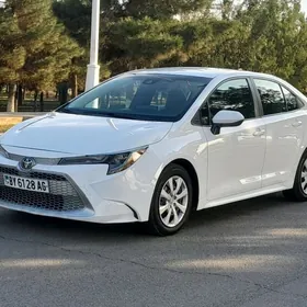 Toyota Corolla 2021