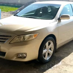 Toyota Camry 2010