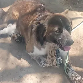 , Я Я      .грн эх не,