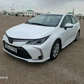 Toyota Corolla 2024