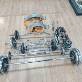 штанги блины скамейка стул