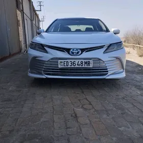 camry fara