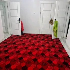 kwartyrant talyp gyz gerek