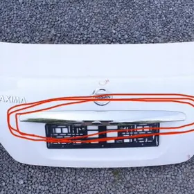 Nikel knopka bagazhynky