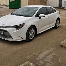 Toyota Corolla 2021