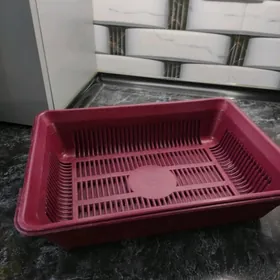 Лоток для котят