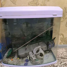 Аквариум 30л