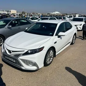 Toyota Camry 2021
