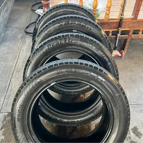 255/55R19 highlander pokryşka