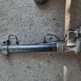 Siena urlawoy kalonka