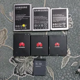 7 sany gowy raboçy Batareý