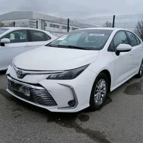 Toyota Corolla 2022