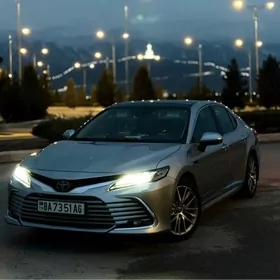 Toyota Camry 2019