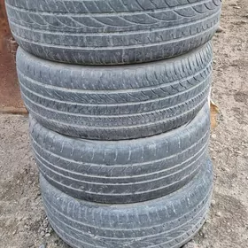 225.55.17 avalondan chykan