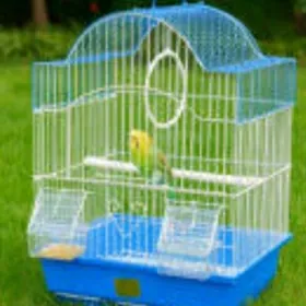 popugay setka volnisdy