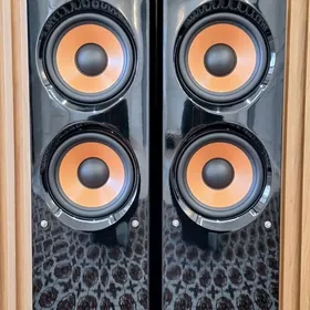 Pure acoustics, kolonka studio