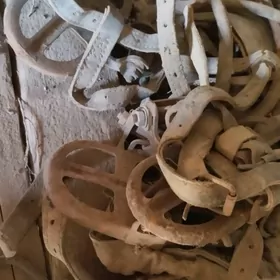 tile cykylyan kowüş