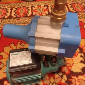 водяной насос