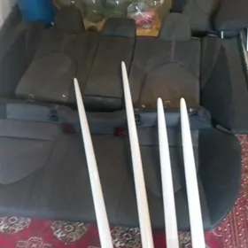 Sidenie yzky Moldnik