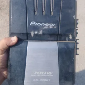 pionner usulitel bockanky