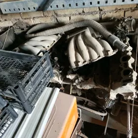 tayotda windom matoryn zapcasy