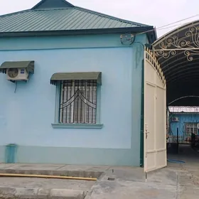 Eyesinden Conganly 3 sfetafor