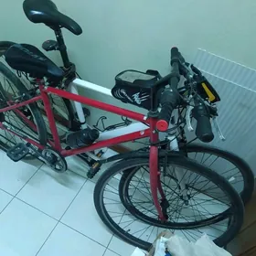 Tigir Orginal Spartiwnyy