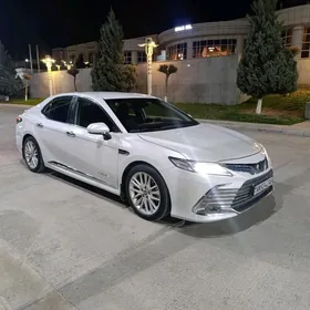 Toyota Camry 2019