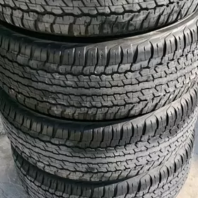 285 60 18 Dunlop Ýyly24