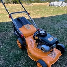 ingco Ot Oryan gazona kasilka