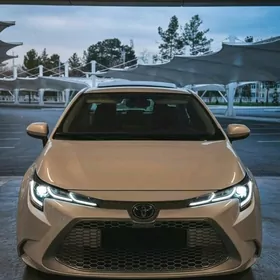 Toyota Corolla 2021