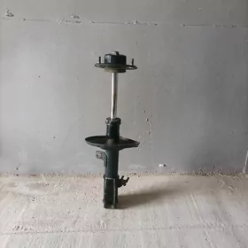 BABYÇKA  ÖWKI SAG  AMARTIZATOR